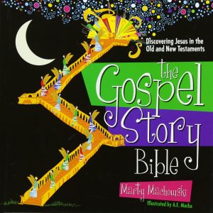 The Gospel Story Bible